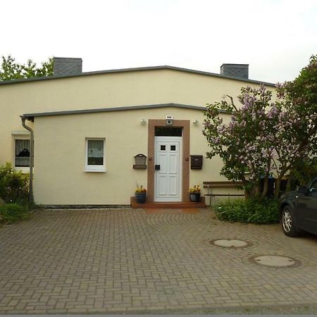 Pension Rosenvilla Sedlitz Kültér fotó