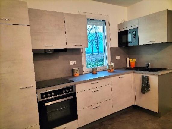 Pension Rosenvilla Sedlitz Kültér fotó