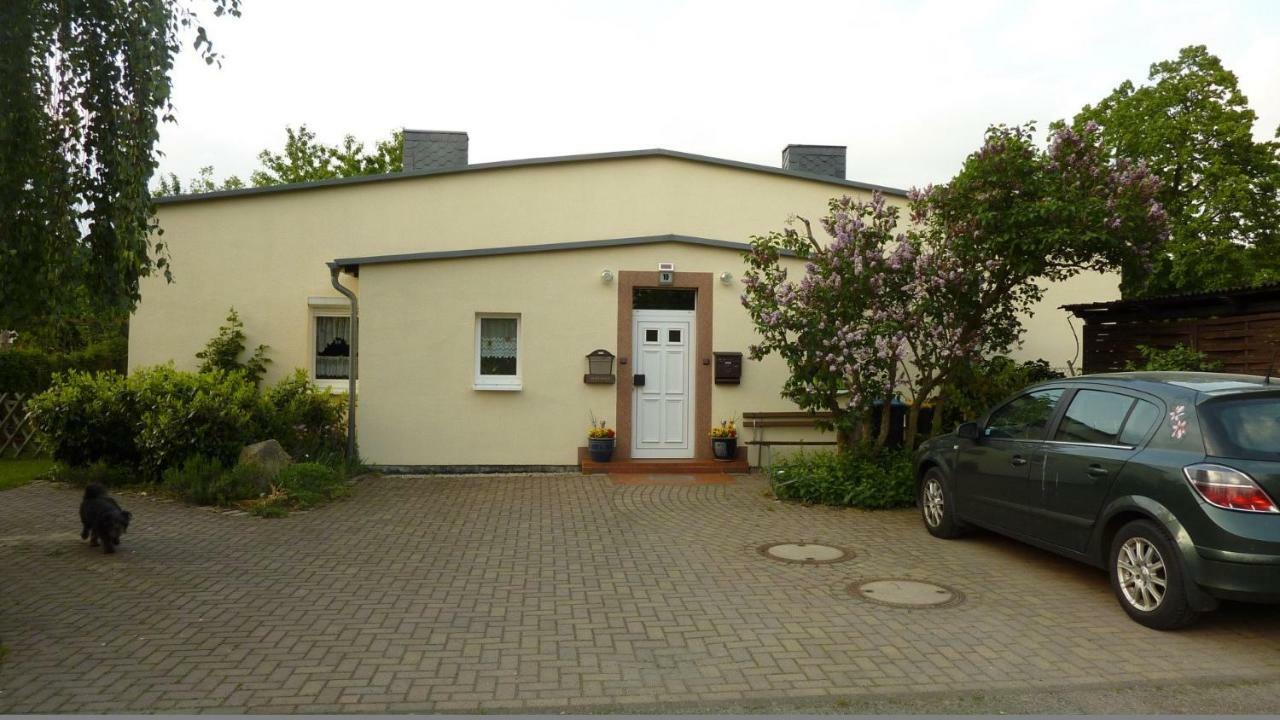 Pension Rosenvilla Sedlitz Kültér fotó